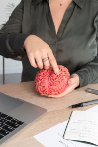 Mulher segurando um cérebro de estudo apontando para uma área específica